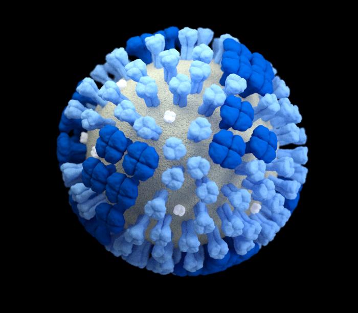 Overview of Viral&nbsp;Diseases