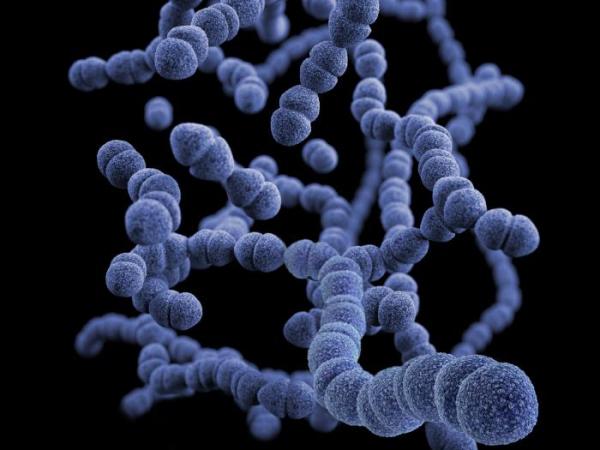 Preventing bacterial infections