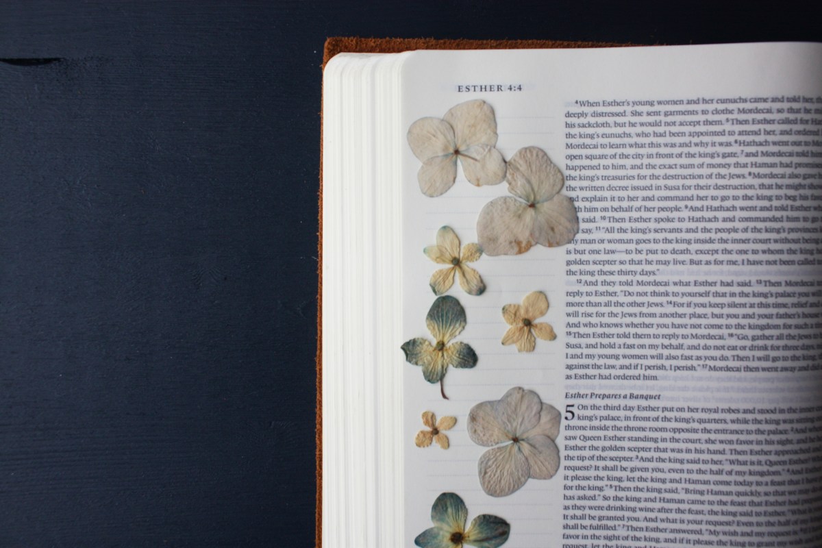 an open Bible with dried flowers