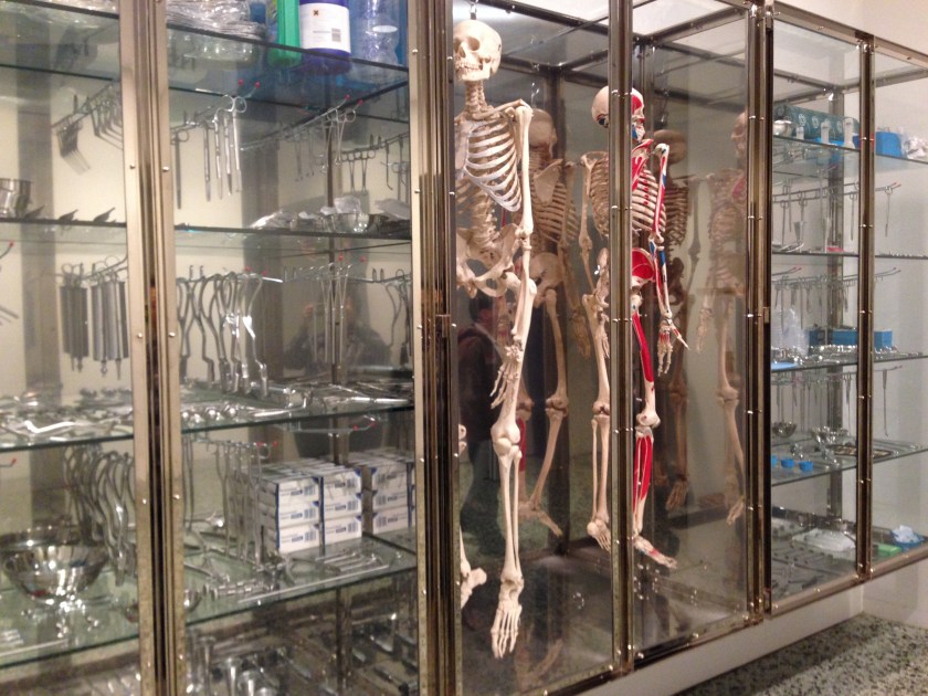 a human skeleton on display