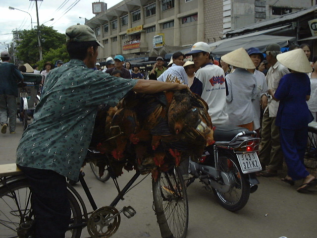 typical street scene