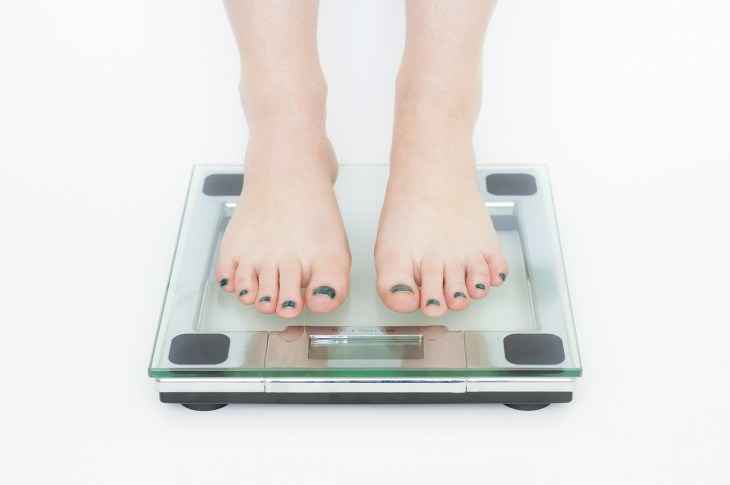 Do structured weight loss programs help people lose weight? 