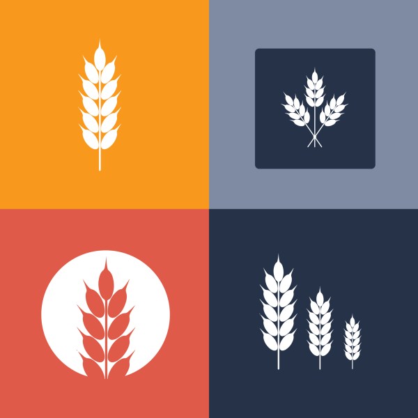 drawings of wheat stalks