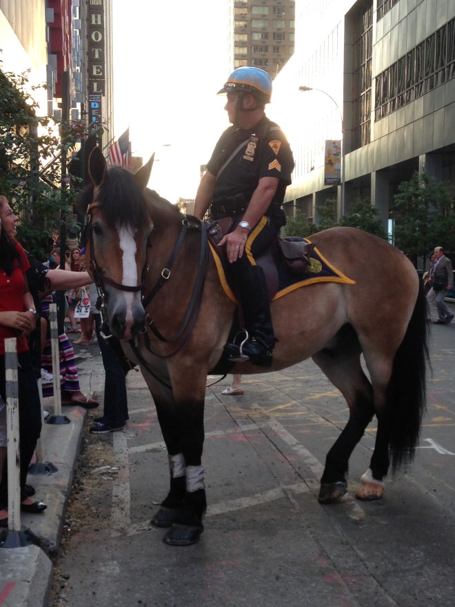 a New York City police officer and his horse represent the city proudly