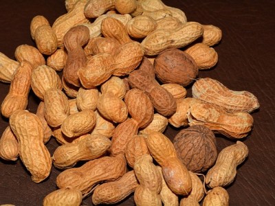 Food Without Fear- a book about food&nbsp;allergy