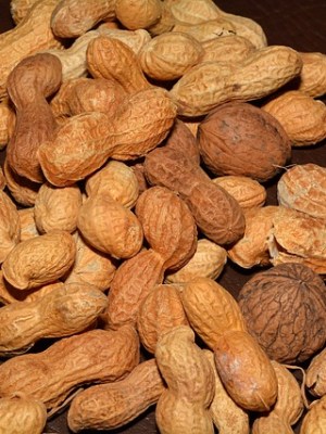 Food Without Fear- a book about food&nbsp;allergy