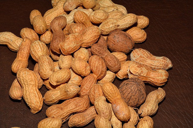 peanuts in the shell