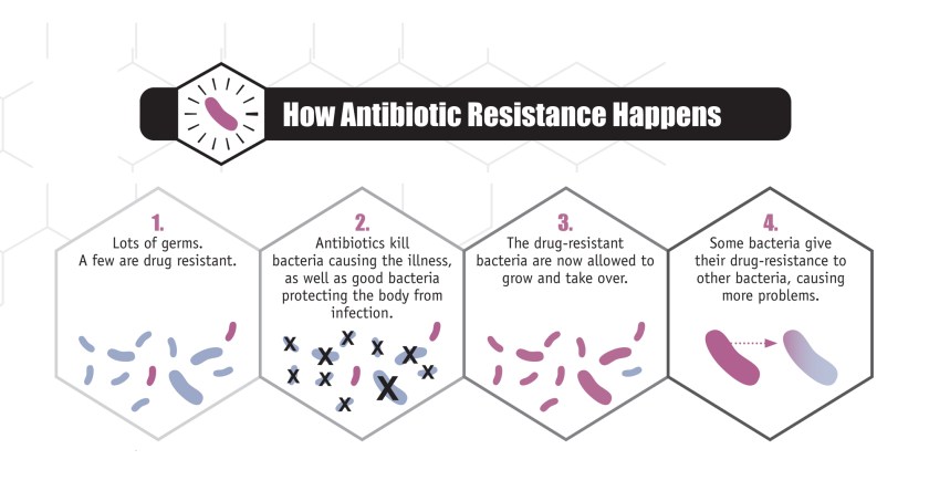 How antibiotic resistance develops 