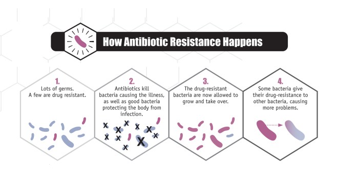 How antibiotic resistance develops 