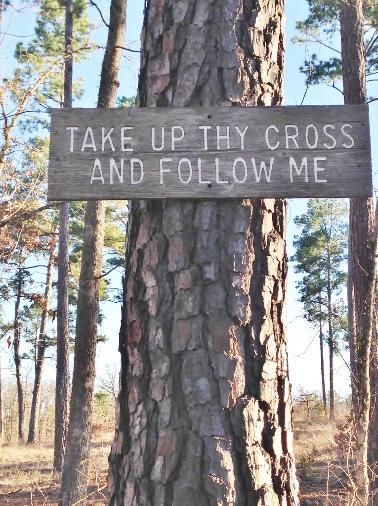 take up thy cross and follow me