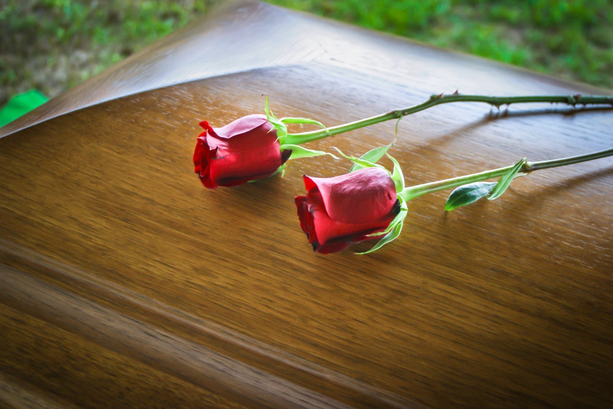 2 red roses lying on a wooden casket