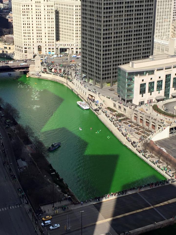 The Chicago river is dyed green .