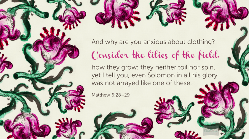 Consider the lilies of the field