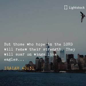 those who hope in the Lord will renew their strength, they will soar like eagles Isaiah 40:31