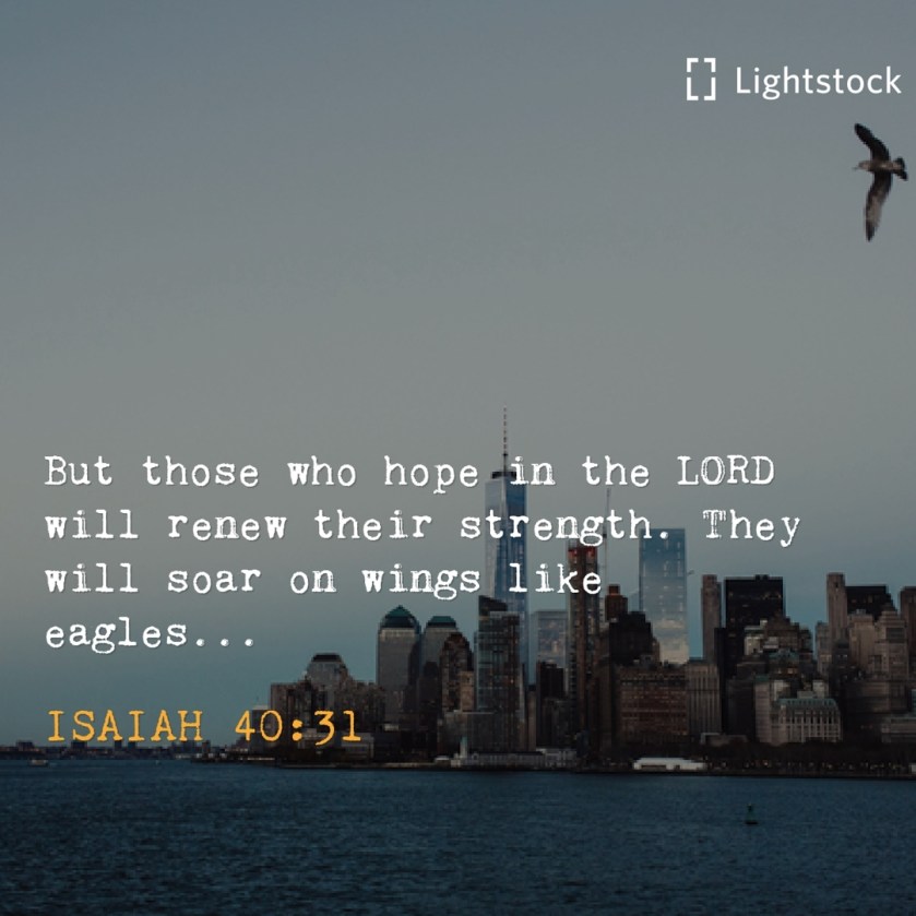 those who hope in the Lord will renew their strength. 