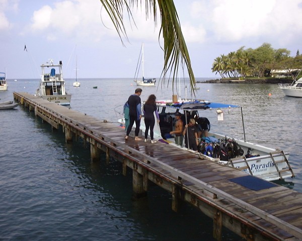 boats, dock, water