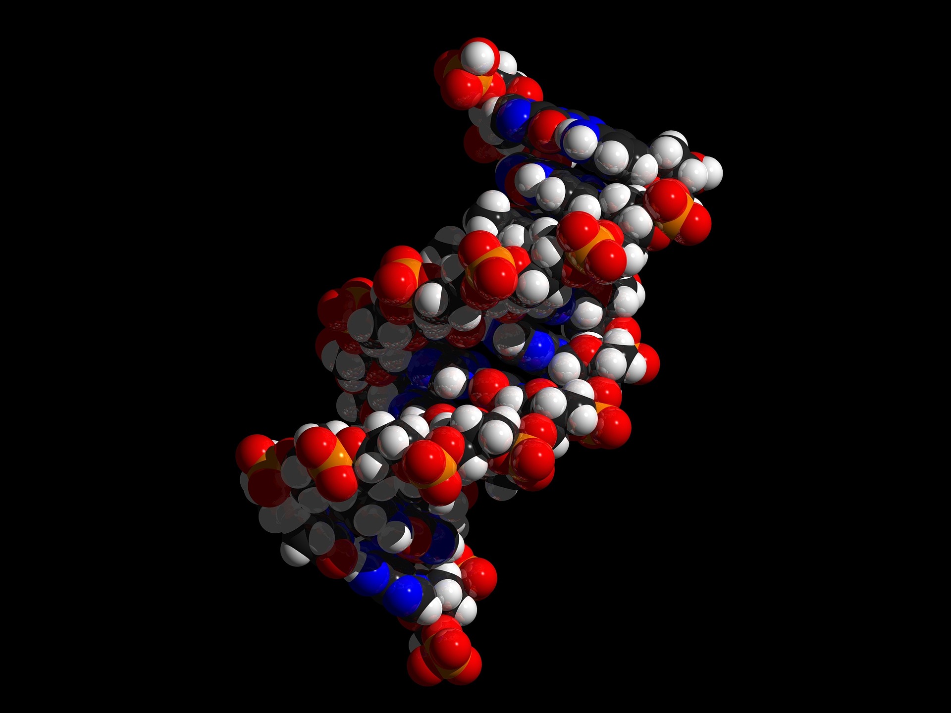 the double helix molecule of DNA