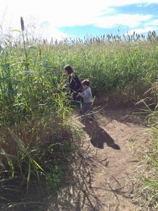 girl and boy in a corn field