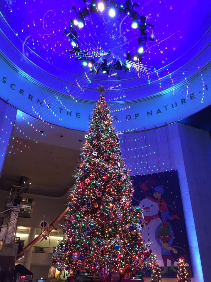 beautiful large Christmas tree