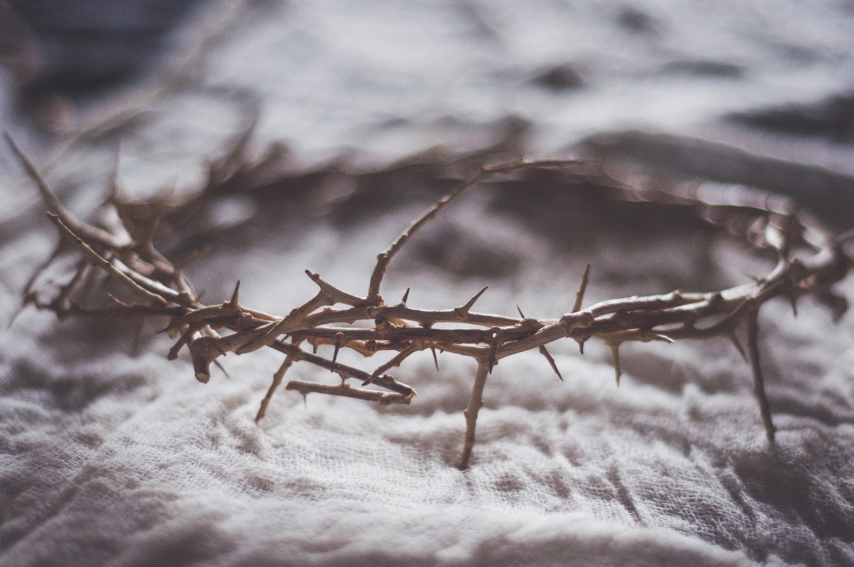 a crown of thorns