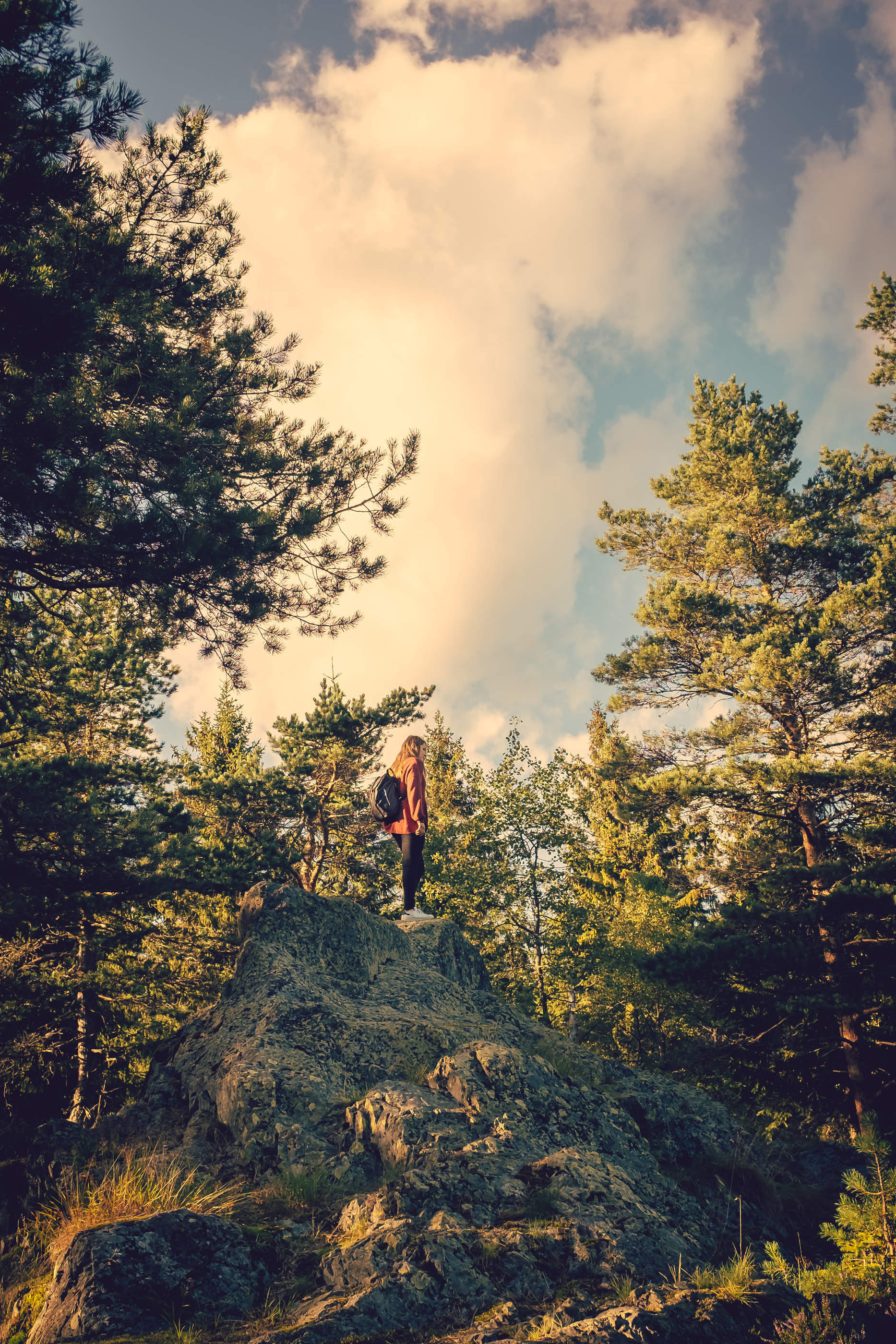 woman standing on a rock among tall trees