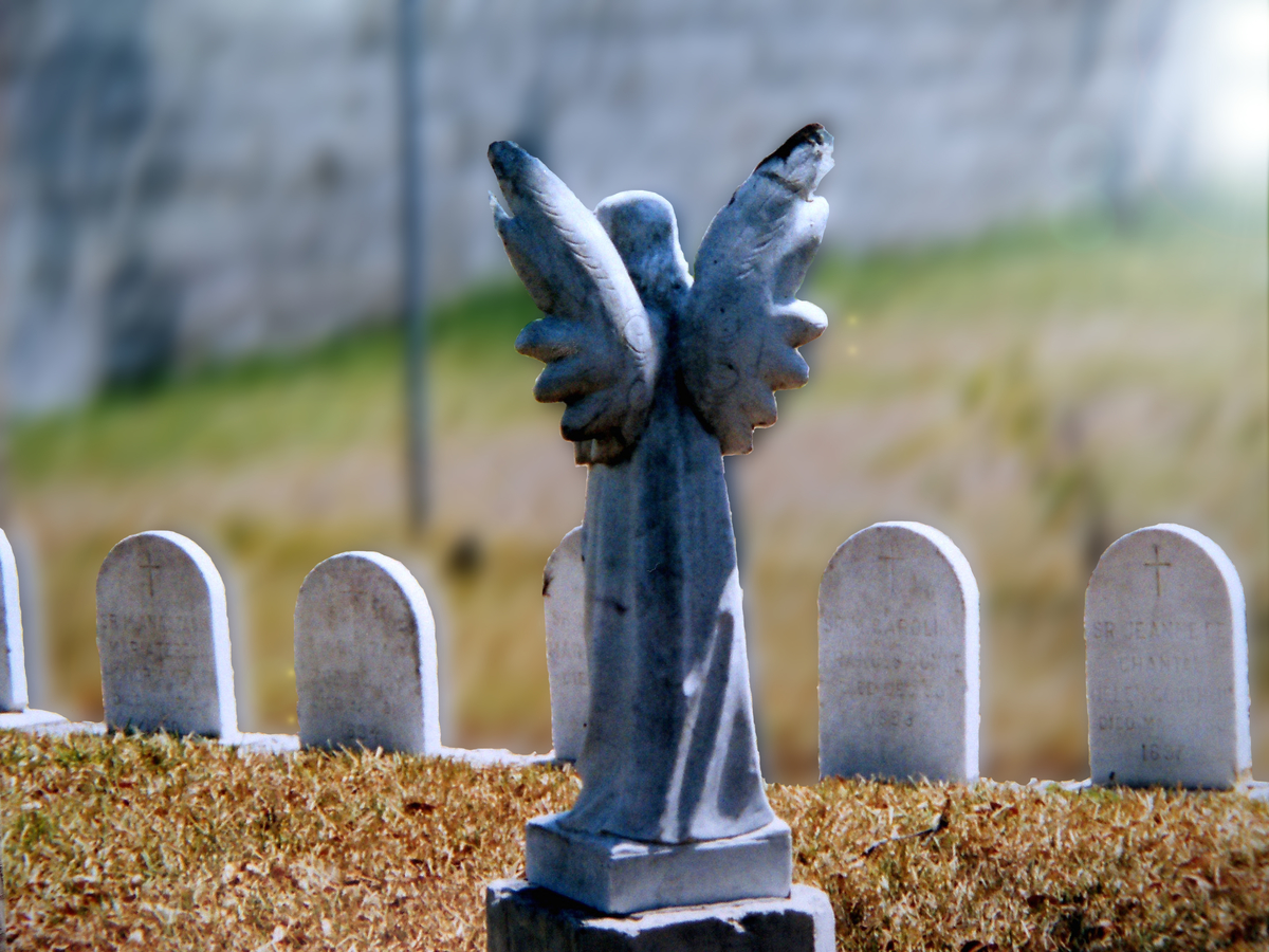 angel statue in a cemetery