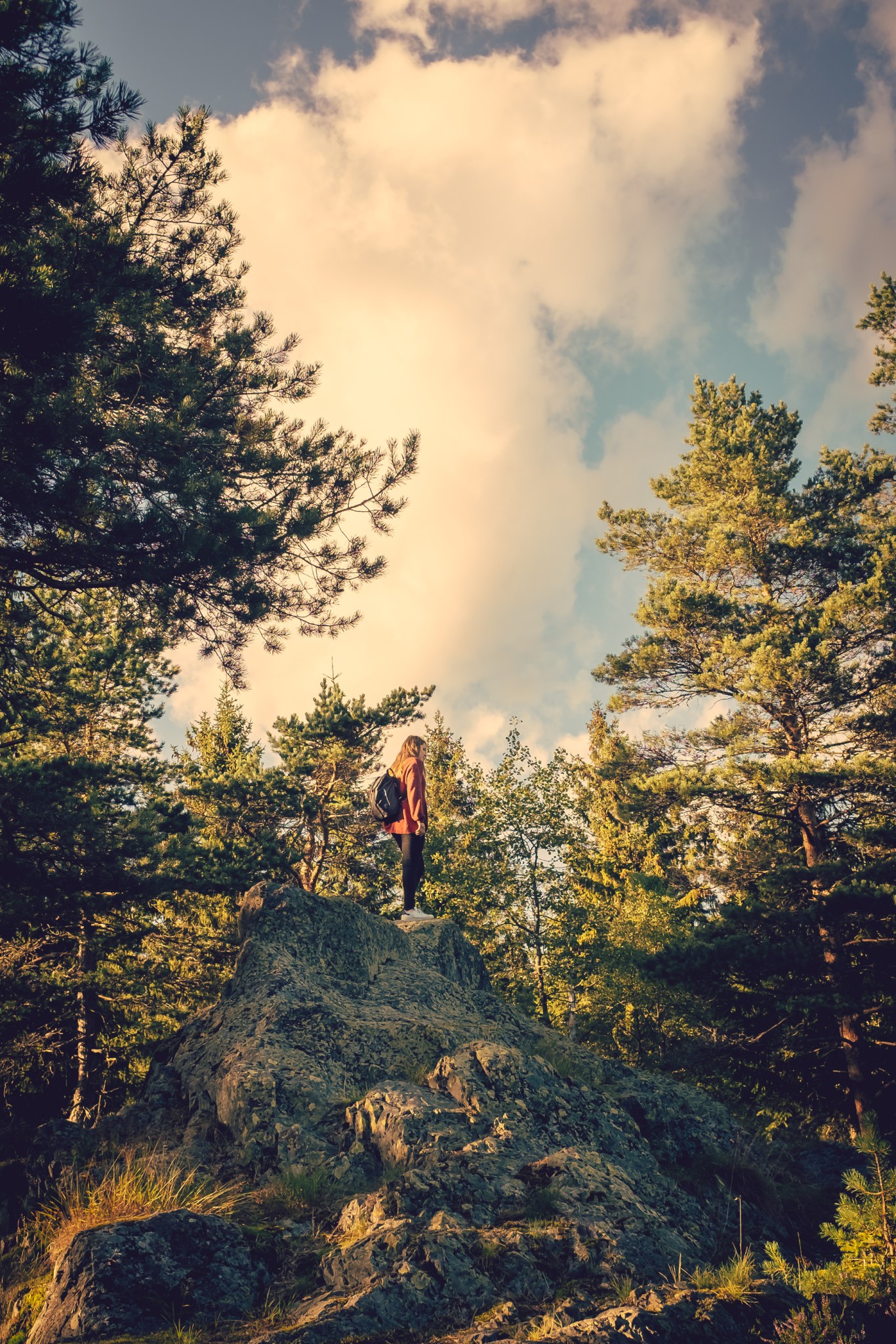 woman standing on a rock in a forest