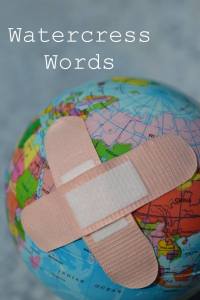 26952564_10213093560871954_4239554644472378905_o