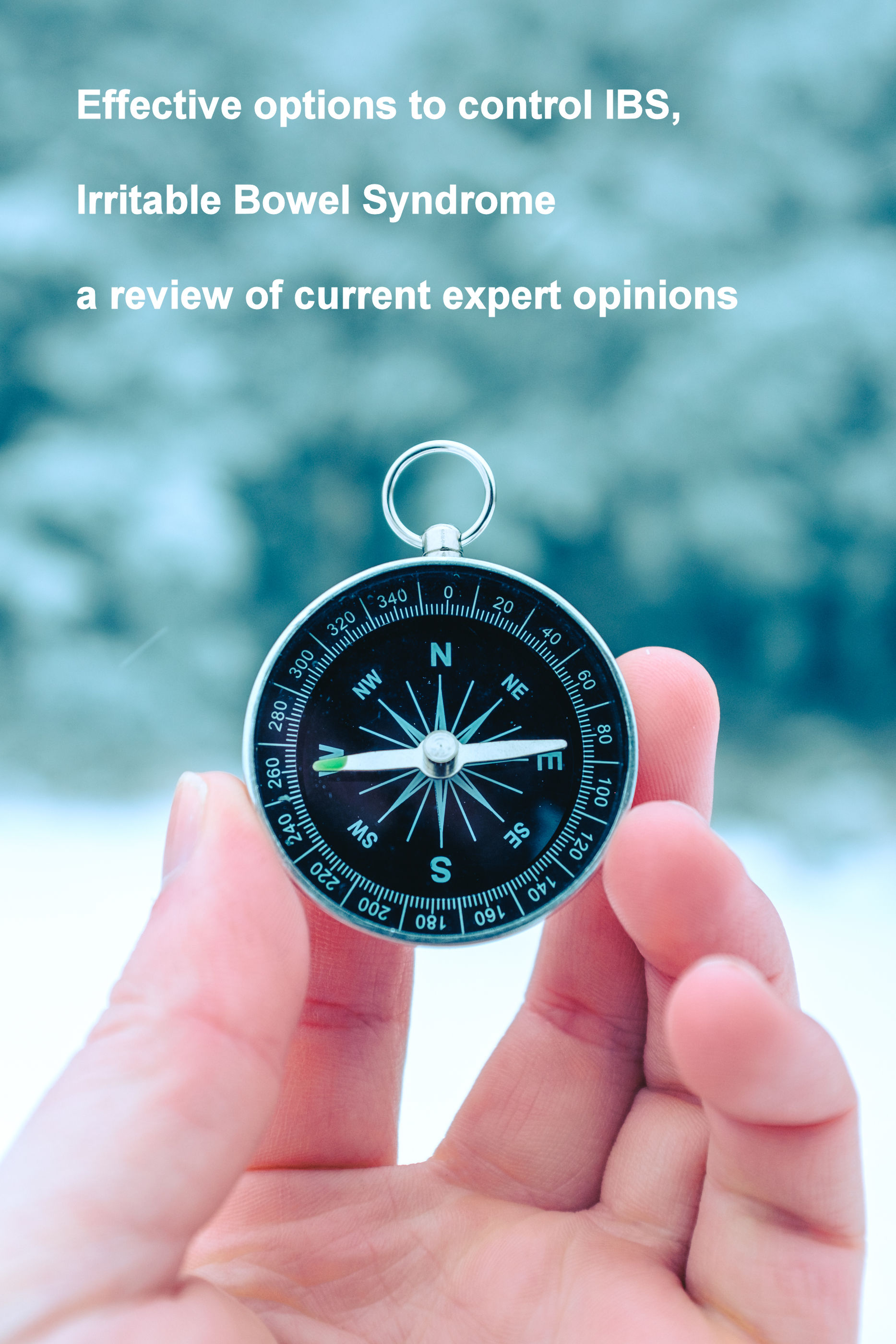 Effective options to control IBS, Irritable Bowel Syndrome