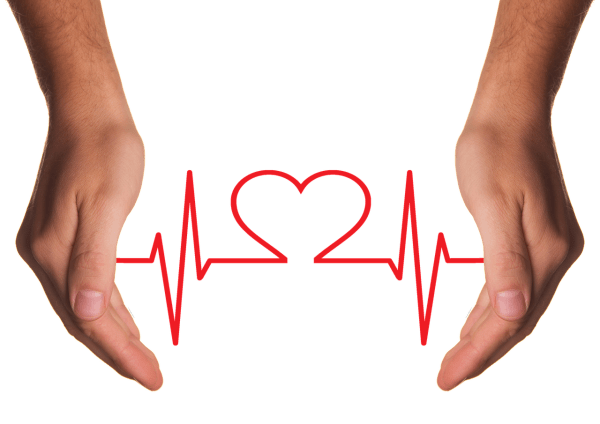an ekg tracing shaped like a heart