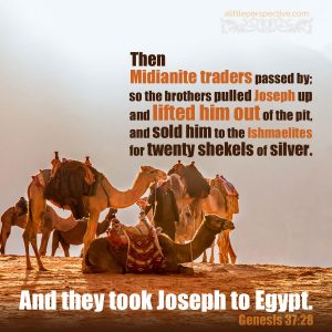 And they took Joseph to Egypt Genesis 37:28