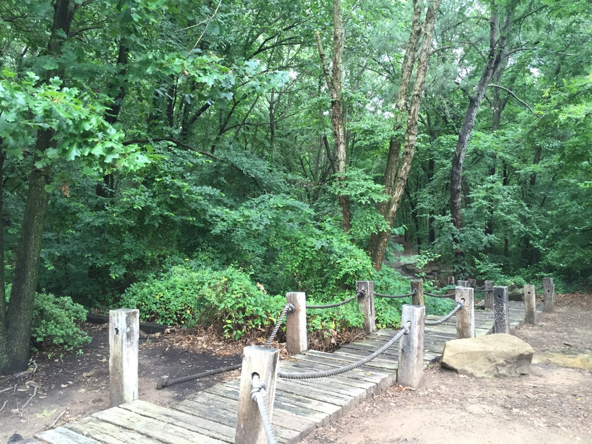 5 spring health risks you need to prepare for&nbsp;now