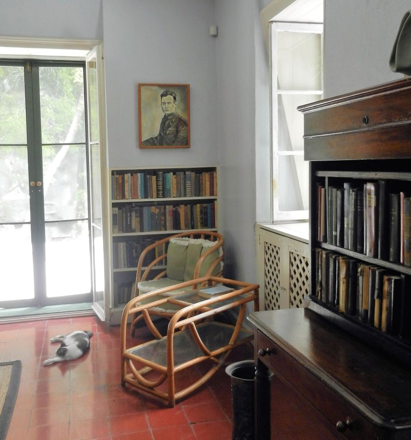 a room with small bookshelves and a sleeping cat on the floor