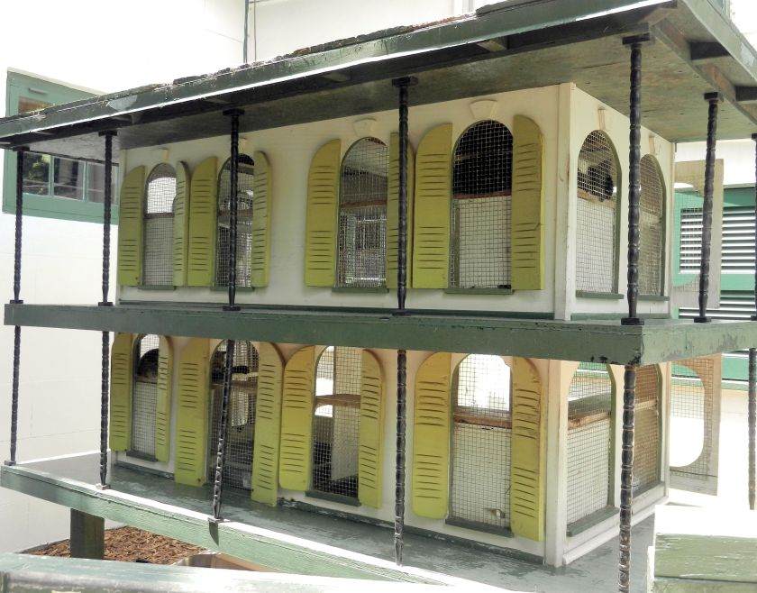 a house for cats at Hemingway's Key West Home