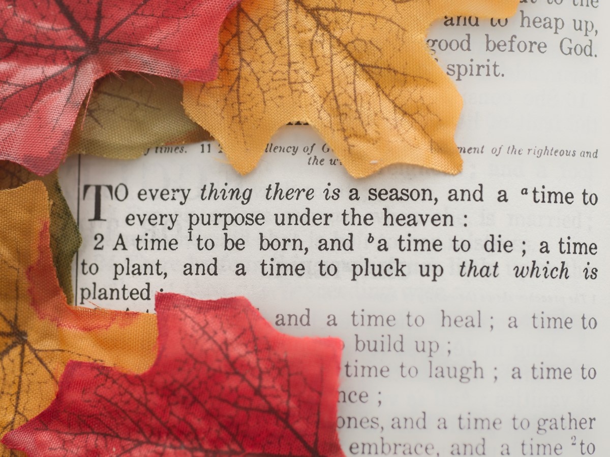 Living life, facing death-a review of A Beginner’s Guide to the&nbsp;End