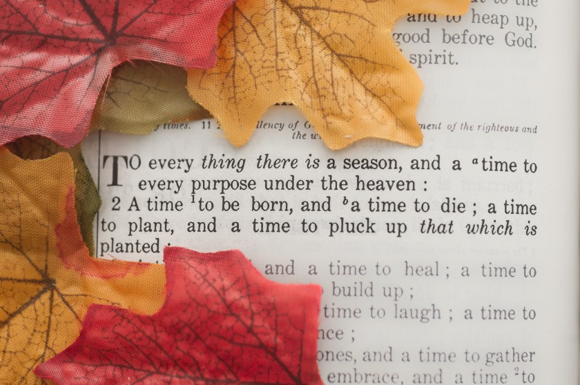 "To every thing there is a season" Bible verse with fall color leaves