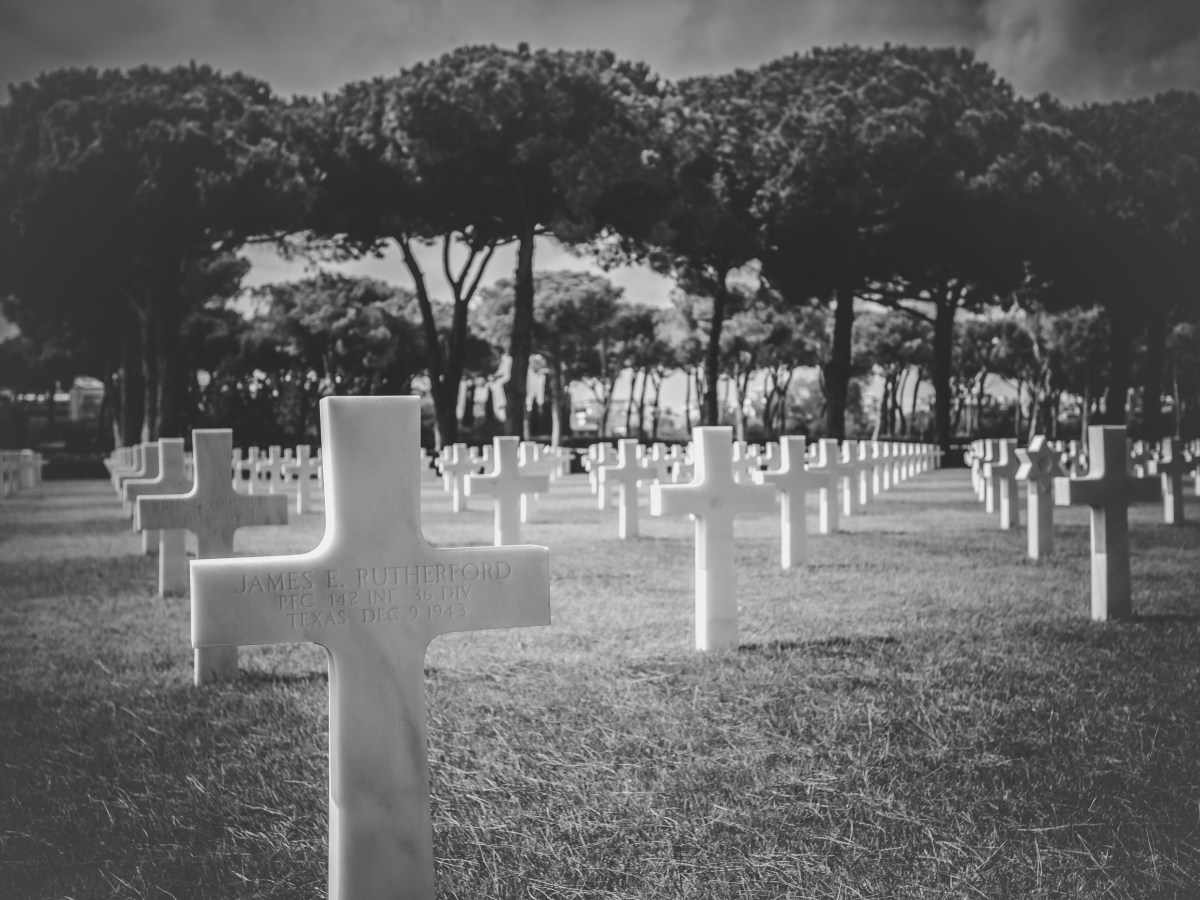 Honoring Memorial Day: Understanding the Poppy&nbsp;Symbolism