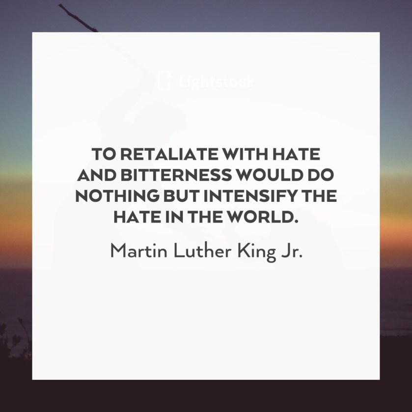 to retaliae with hate and bitterness would do nothing but intensity the hate in the world. Martin Luther King Jr.