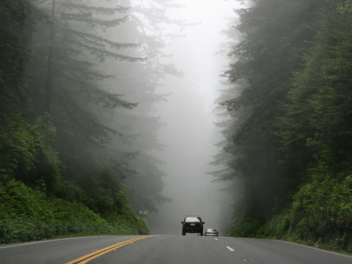 Why you should get ready to die while you live -a book&nbsp;review