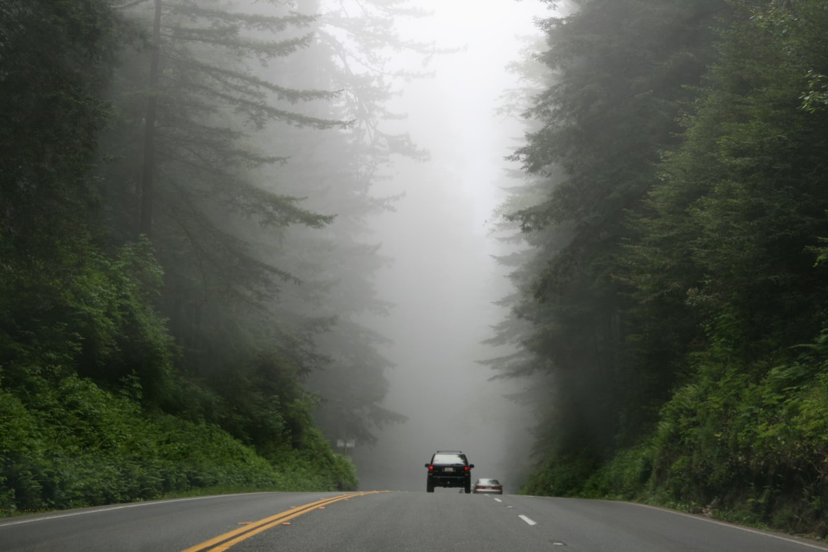 Why you should get ready to die while you live -a book&nbsp;review