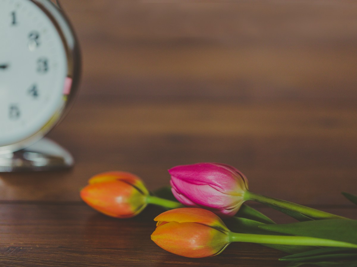 Health tips for spring you can use&nbsp;now