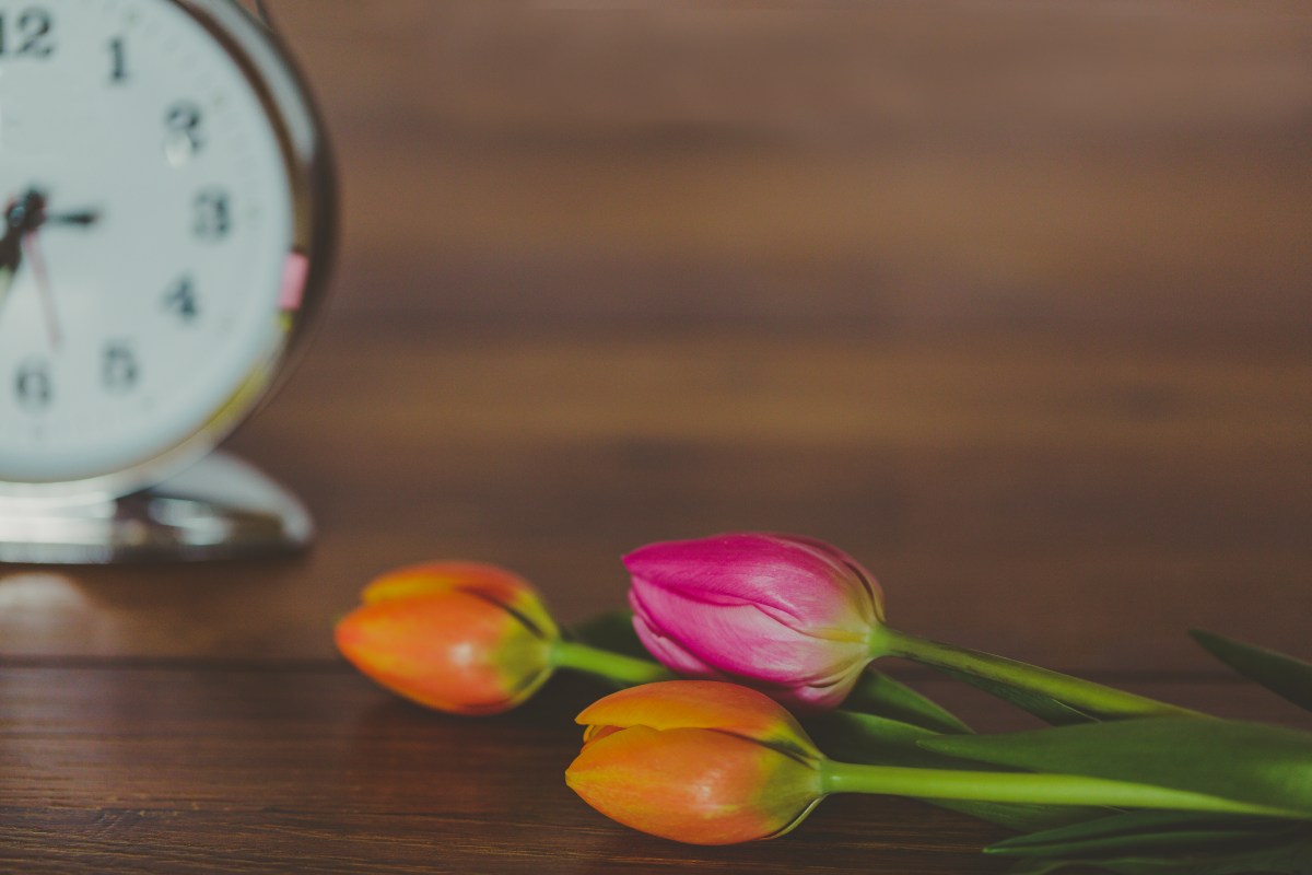 a clock with 3 tulips