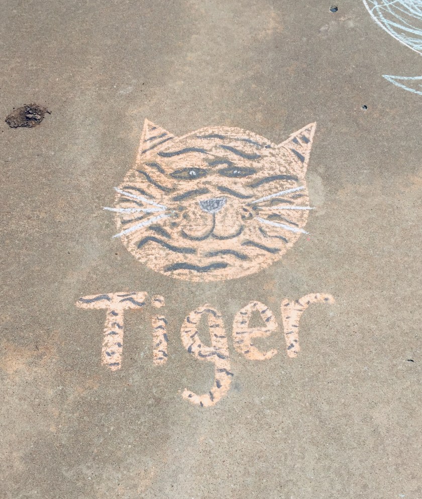 a tiger face drawn with chalk on a sidewalk