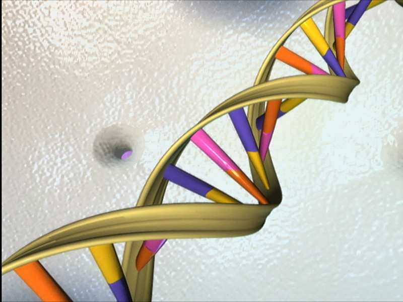 graphic depiction of DNA- the double helix