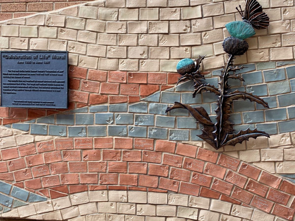 Celebrating Life after&nbsp;Cancer