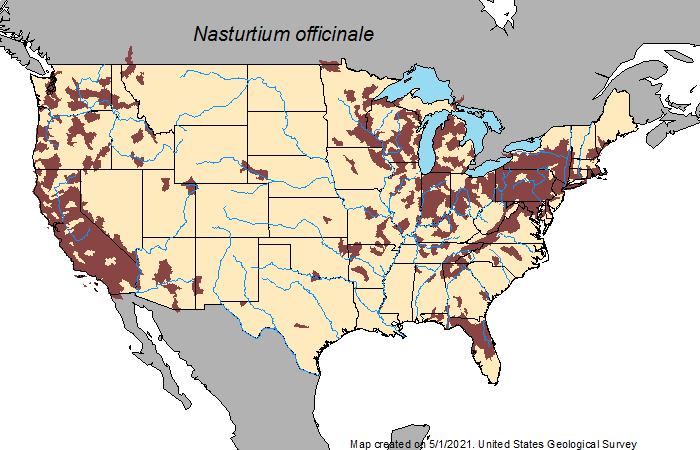 U.S. map showing distribution of Nasturtium officinale