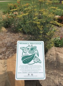 a monarch waystation to aid the butterflies' migration