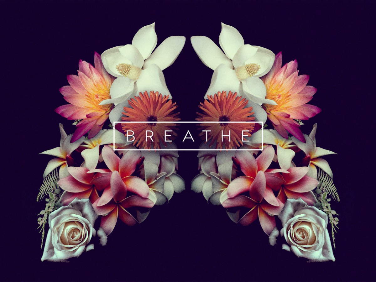 BREATH TAKING – a book&nbsp;review
