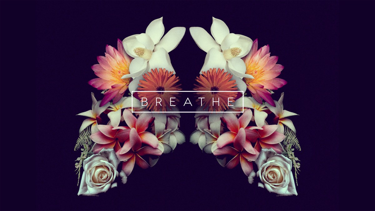 BREATH TAKING – a book&nbsp;review