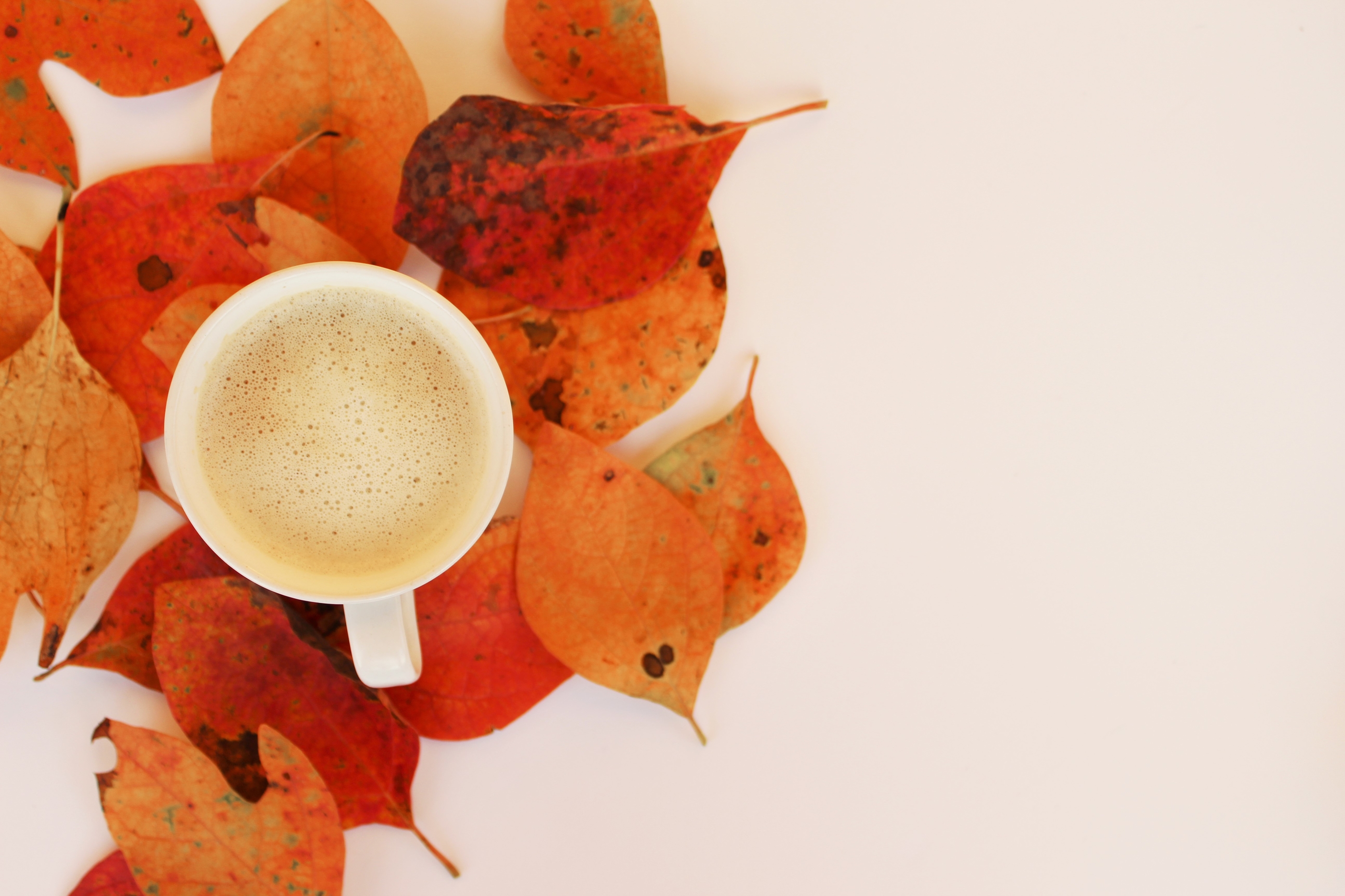 a cup of coffee surrounded by fall leaves